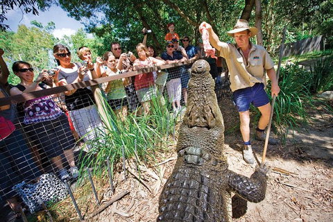 Hartley's Crocodile Adventure Half-Day Tour - Queensland Tourism 4