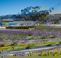 Private Hobart Discover South East Food and Scenic Tour - QLD Tourism