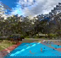 Tahune Airwalk Active Day Trip from Hobart Including Hastings Caves - QLD Tourism