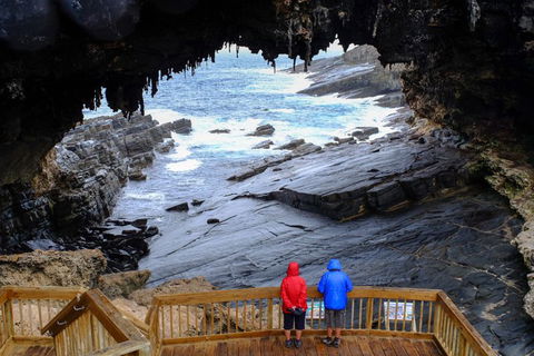 Full-Day Kangaroo Island Safari From Penneshaw - QLD Tourism 1