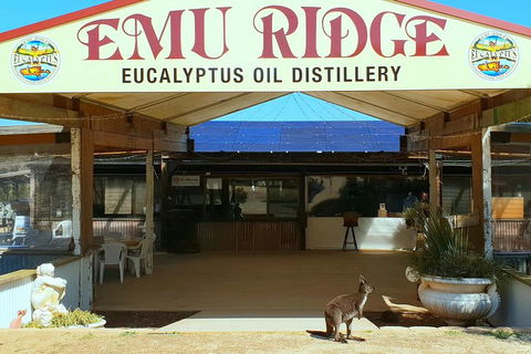 Full-Day Kangaroo Island Safari From Penneshaw - QLD Tourism 2