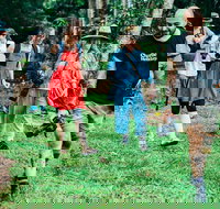 Let's Go Buggin  Let's Go Shroomin - Photography  Nature Walking Tours - QLD Tourism