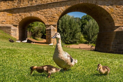 Richmond Historic Afternoon Tour From Hobart - QLD Tourism 1