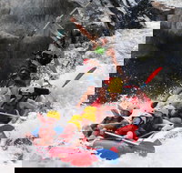 Barron Gorge National Park Half-Day White Water Rafting from Cairns or Port Douglas - QLD Tourism