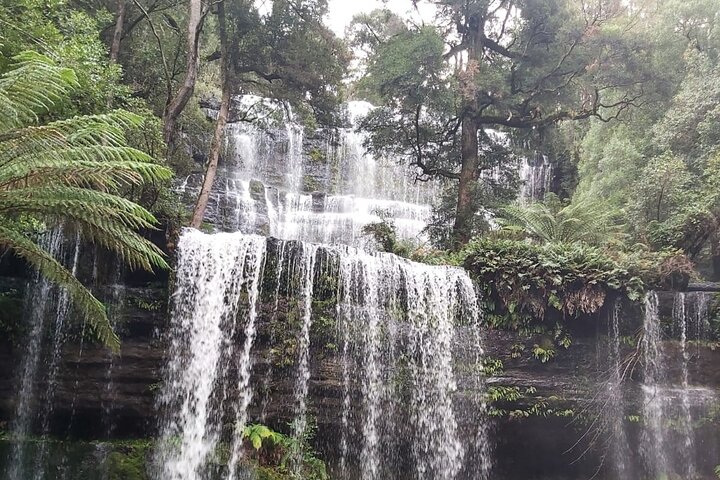  QLD Tourism