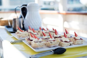 90min Brisbane River Cruise/Tour
