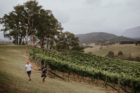 Luxury Blue Mountains Tour With Aussie BBQ Lunch And Wine Tasting - QLD Tourism 3