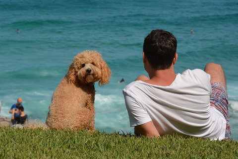 See Sydney With A Local: Private & Personalized - QLD Tourism 5