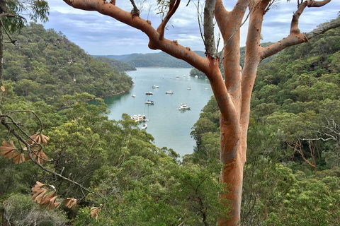 Shore Excursion: Sydney's Northern Beaches & Ku-ring-gai National Park Bus Tour - QLD Tourism 1