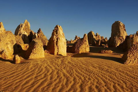 Full Day Pinnacle Desert Explorer From Perth Including Hillarys And Lancelin Sandboarding - QLD Tourism 3