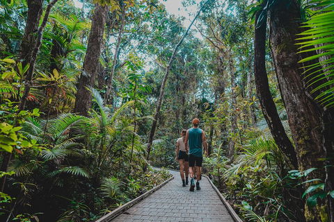 Full Day Cooktown Private Tour - QLD Tourism 0