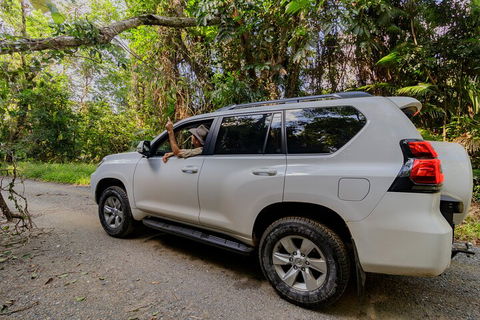 Full Day Cooktown Private Tour - QLD Tourism 3