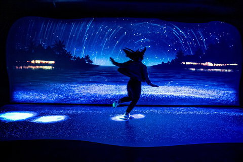 SEA LIFE Sydney Aquarium Entrance Ticket - QLD Tourism 3