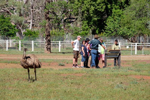 Yura Udnyu - Our Culture, Your Culture (Aboriginal Cultural Walk) - QLD Tourism 1
