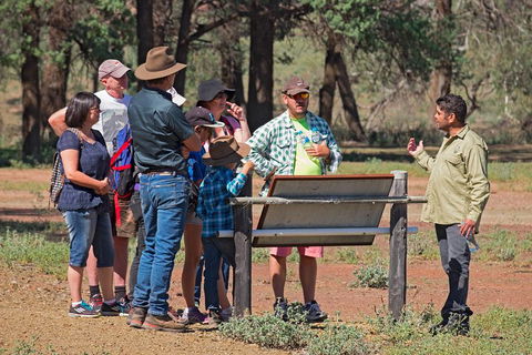 Yura Udnyu - Our Culture, Your Culture (Aboriginal Cultural Walk) - QLD Tourism 2