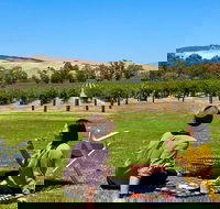 Private Picnic and Wine Tasting Experience in Barossa Valley - QLD Tourism