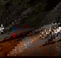 Alice Springs Desert Park Nocturnal Tour - QLD Tourism