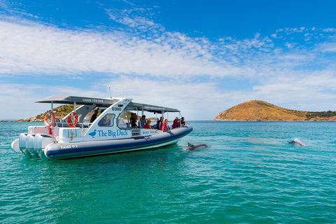 Southern Ocean Adventure From Victor Harbor - QLD Tourism 1