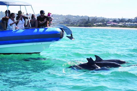 Southern Ocean Adventure From Victor Harbor - QLD Tourism 2