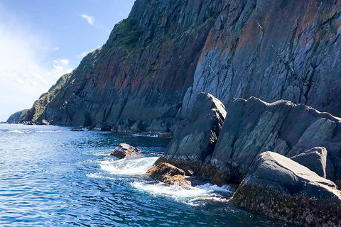 Southern Ocean Adventure From Victor Harbor - QLD Tourism 3