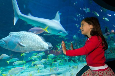 Melbourne BIG Ticket - LEGOLAND Discovery And SEA LIFE Melbourne - QLD Tourism 1