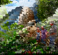 3 Day Cape Tribulation  Cooktown Tour from Cairns or Port Douglas - QLD Tourism