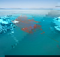 Ocean Freedom Great Barrier Reef Personal Luxury Snorkel  Dive Cruise Cairns - QLD Tourism