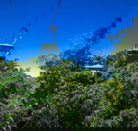 Classic Kuranda by Skyrail and Scenic Railway Including Rainforestation Koala and Wildlife Park and Pamagirri Aboriginal Experi - QLD Tourism