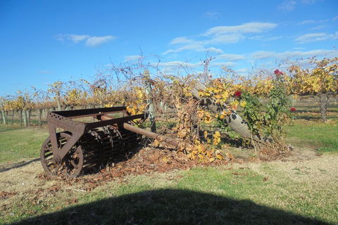 Swan Valley Tour From Perth: Wine, Beer And Chocolate Tastings - QLD Tourism 3
