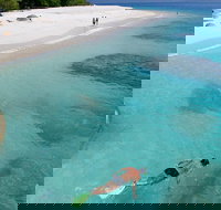 Fitzroy Island Day Trip from Cairns - QLD Tourism