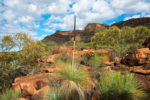 6-Day Eyre Peninsula & Flinders Ranges Adventure Tour - QLD Tourism 1