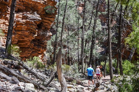 6-Day Eyre Peninsula & Flinders Ranges Adventure Tour - QLD Tourism 5