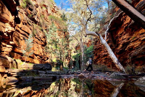 10-Day Adelaide To Perth Adventure Tour - QLD Tourism 5