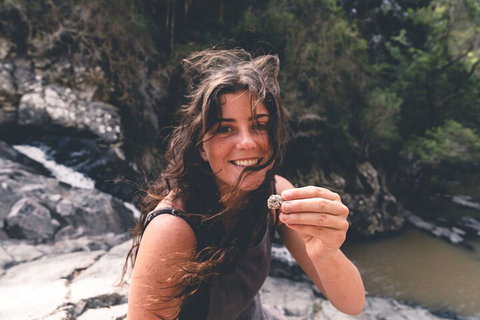 Springbrook AndTamborine Rainforest Tour Incl Natural Bridge And Glow Worm Cave - QLD Tourism 1