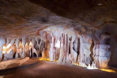 Springbrook AndTamborine Rainforest Tour Incl Natural Bridge And Glow Worm Cave - QLD Tourism 4