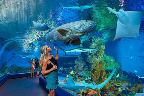 Cairns Aquarium Admission Ticket - QLD Tourism 3