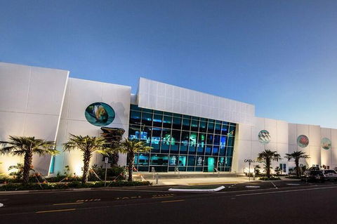 Cairns Aquarium Admission Ticket - QLD Tourism 4