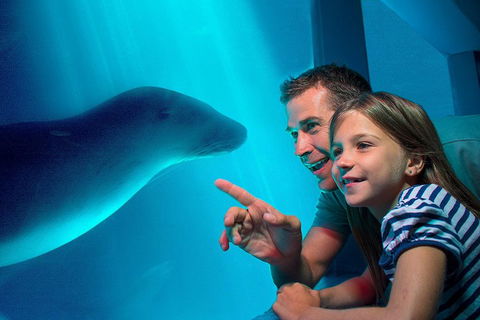SEA LIFE Sunshine Coast Aquarium Entrance Ticket - QLD Tourism 2