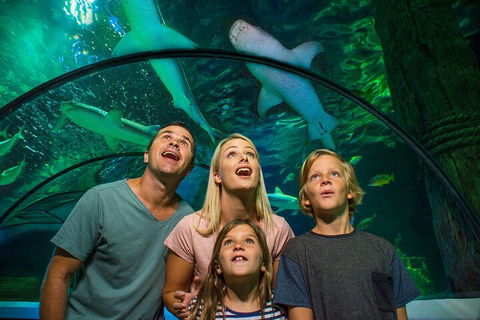 SEA LIFE Sunshine Coast Aquarium Entrance Ticket - QLD Tourism 3