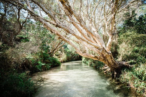 3-Day Fraser Island Resort Package - QLD Tourism 5