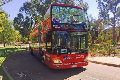 Perth Hop-On Hop-Off Bus Tour - QLD Tourism 4