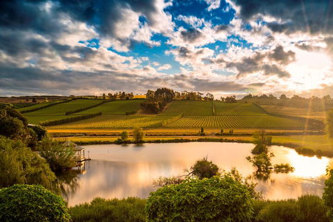 Josef Chromy Wines Winery Tour Including Tasting And Lunch - QLD Tourism 3