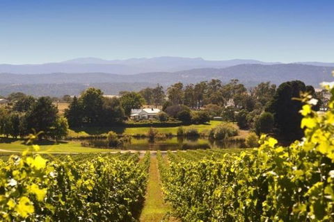 Josef Chromy Wines Winery Tour Including Tasting And Lunch - QLD Tourism 4