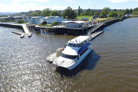 2.5 Hour Morning Discovery Cruise Including Sailing Into The Cataract Gorge - QLD Tourism 3