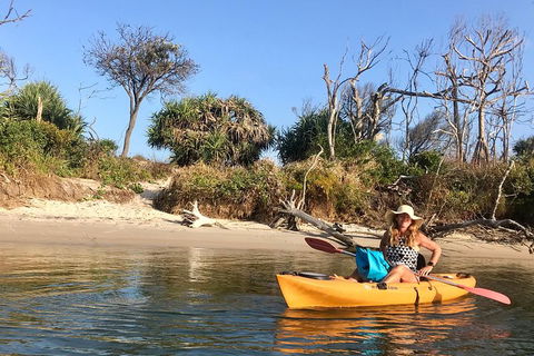 1-Hour Single Or Double Kayak Hire On Golden Beach, Caloundra - QLD Tourism 4