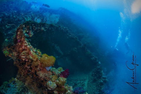Scuba Dive The S.S. Yongala Wreck On The Great Barrier Reef. - QLD Tourism 3
