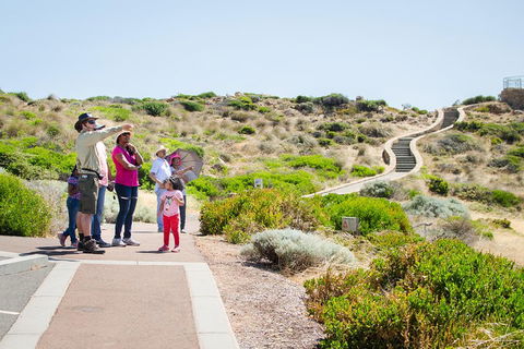 Margaret River Coastal And Wildlife Eco Trip From Busselton Or Dunsborough - QLD Tourism 0
