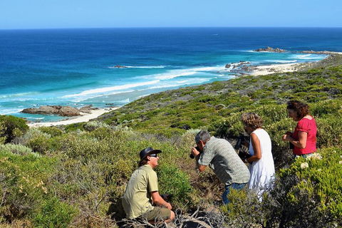 Margaret River Coastal And Wildlife Eco Trip From Busselton Or Dunsborough - QLD Tourism 2