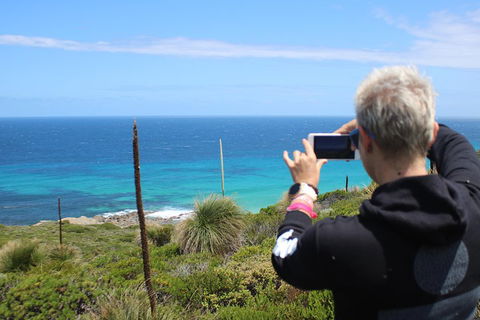 Margaret River Coastal And Wildlife Eco Trip From Busselton Or Dunsborough - QLD Tourism 3