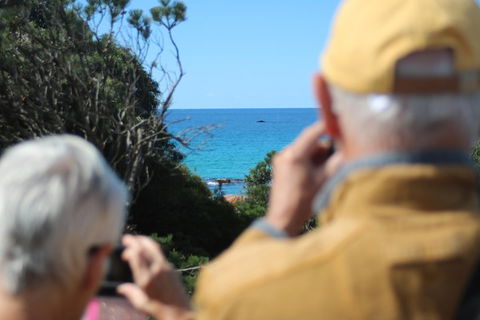 Margaret River Coastal And Wildlife Eco Trip From Busselton Or Dunsborough - QLD Tourism 5